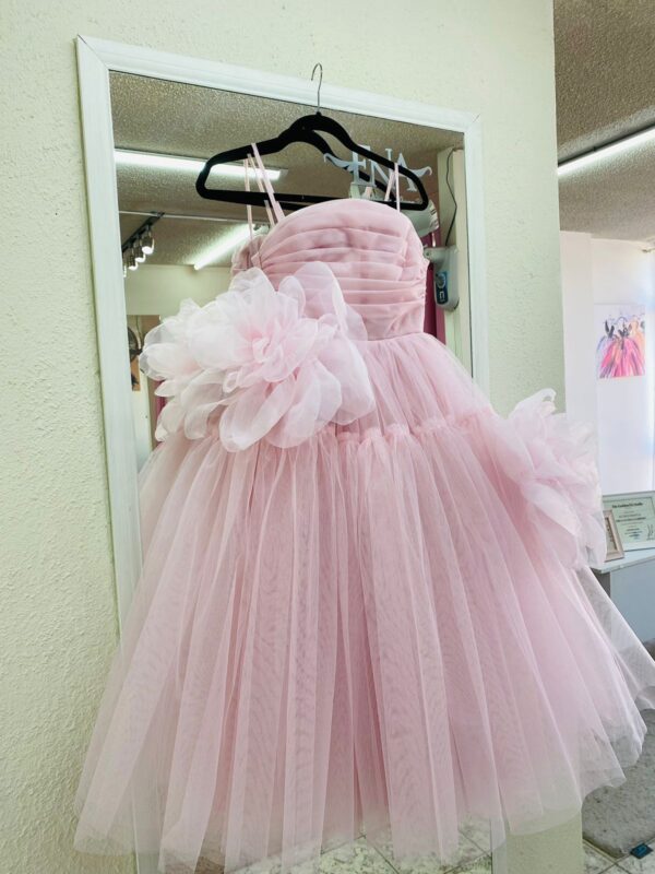 Rose Dress