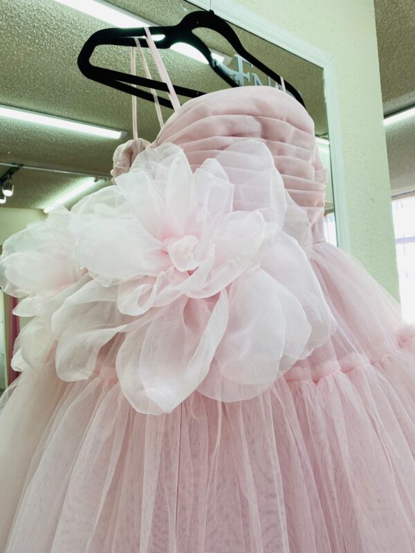 Rose Dress