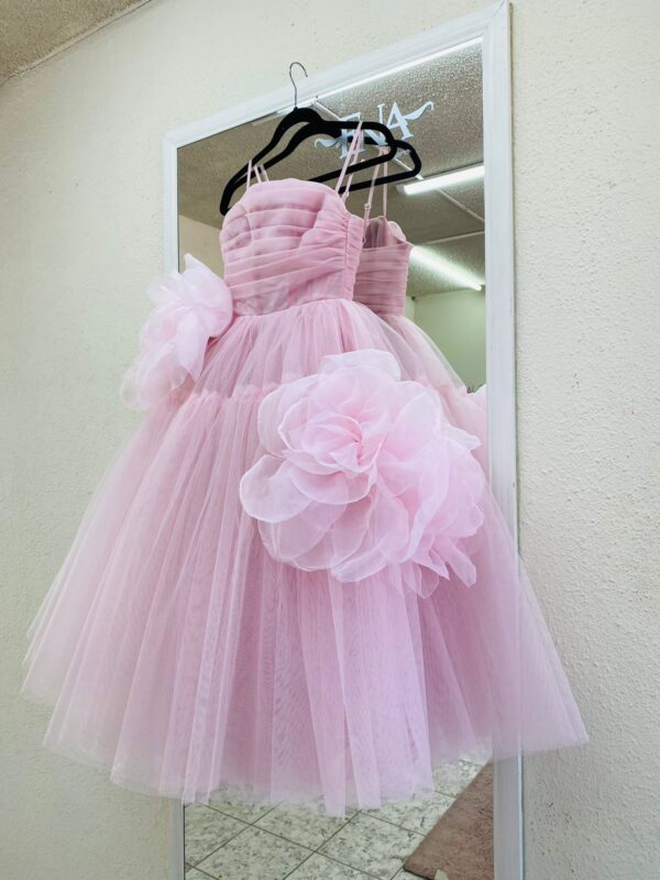 Rose Dress