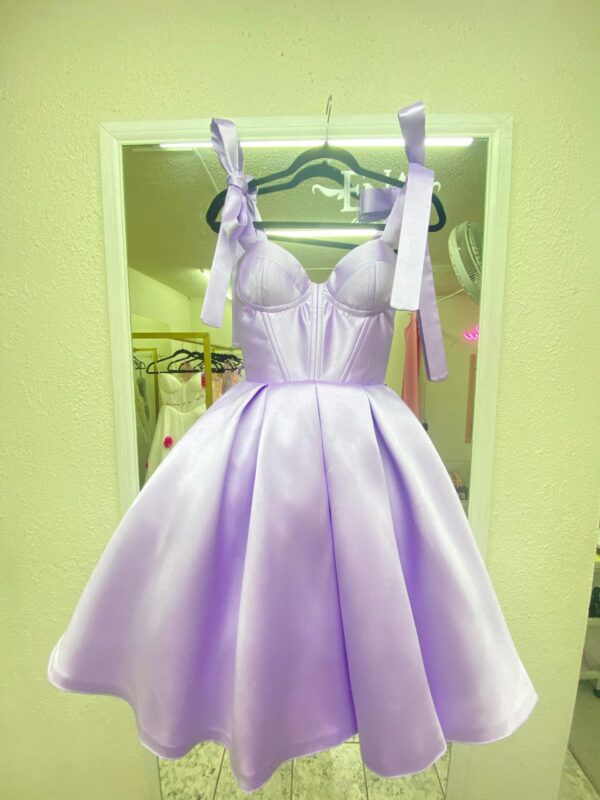 Petite Bustier Dress
