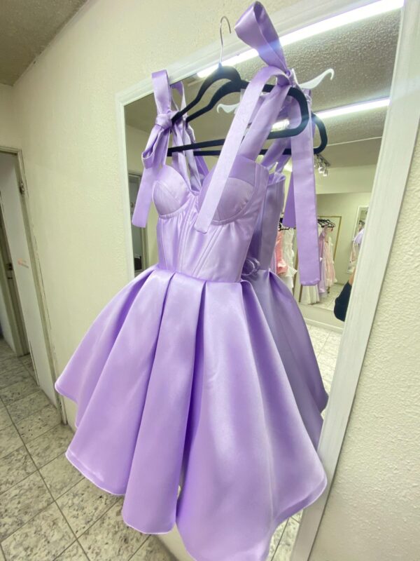 Petite Bustier Dress